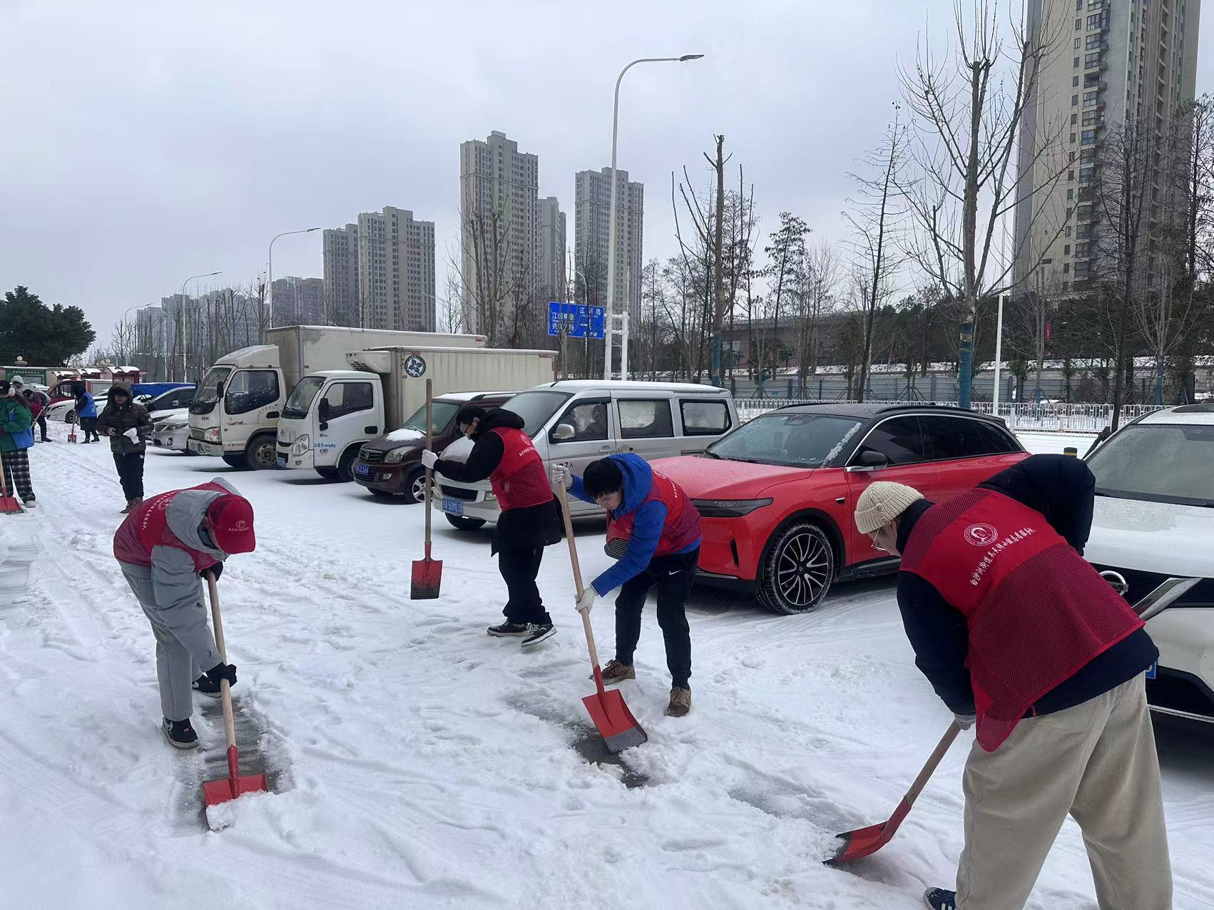 闻雪而动齐上阵 武昌区检察院组织干警开展扫雪除冰行动